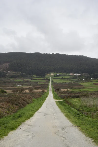 Düz kırsal yol — Stok fotoğraf