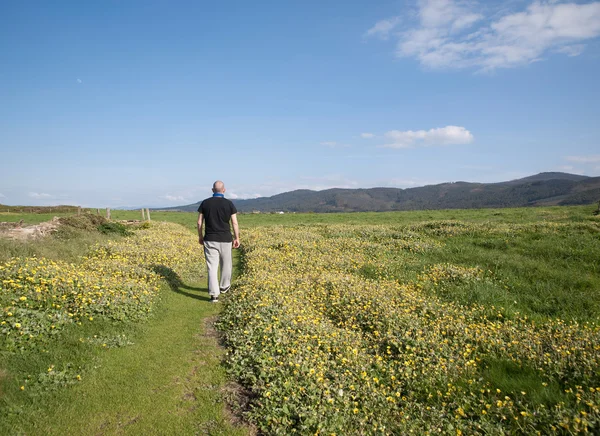 Man lopen in een pad in het midden van de weide — Stockfoto