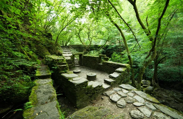 Ruinas de un antiguo molino en el parque natural "Fragas del Eume " — Foto de Stock