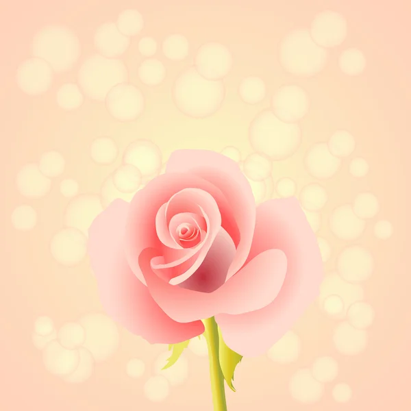 Rose Background — Stock Vector