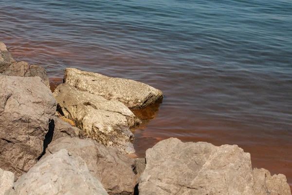 Rode Algen Aan Kust Italië Grens Met Slovenië Adriatische Zee — Stockfoto