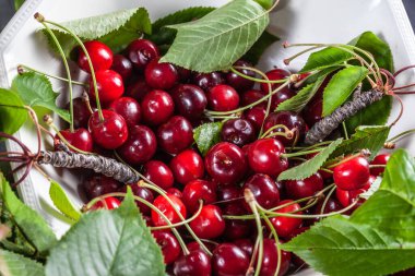 İlkbaharda ağaçtan toplanmış küçük organik kirazlar.