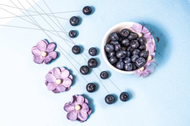 Taze yaban mersininin stüdyo fotoğraf çekimi, en düşük kompozisyon