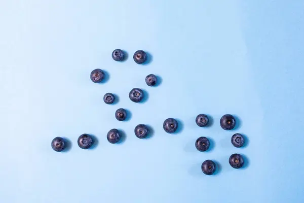 新鲜蓝莓摄影演播室 作曲最少 — 图库照片