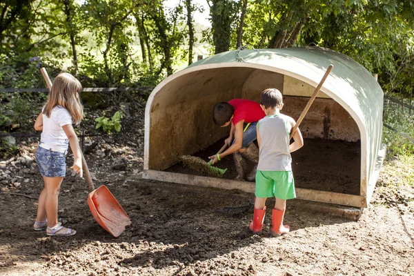 어린이 여름 캠프