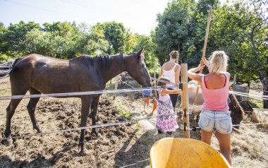 어린이 여름 캠프