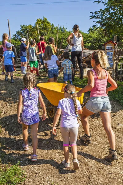 Enfants dans un camp d'été Images De Stock Libres De Droits