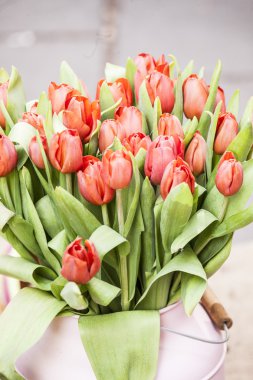 Bahar açık piyasa.