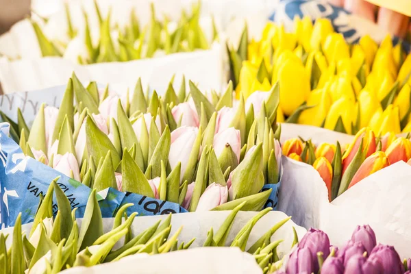 Spring outdoor market. — Stock Photo, Image