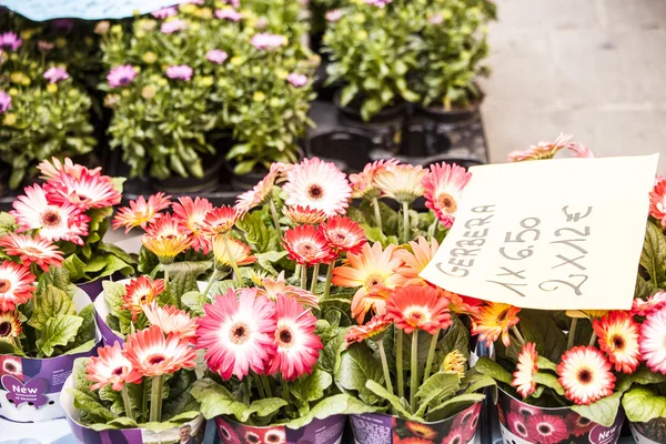 Spring outdoor market. — Stock Photo, Image