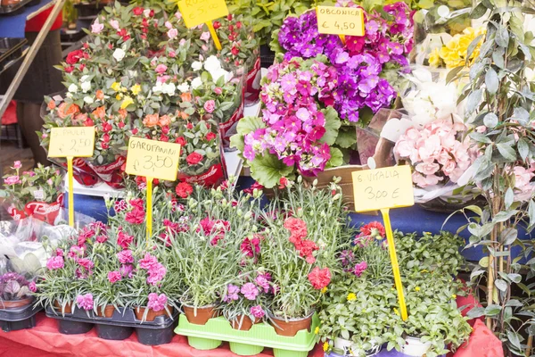 Spring outdoor market. — Stock Photo, Image