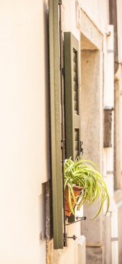 Muggia,windows typical of the town.