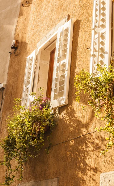 Muggia,windows typical of the town. — Stockfoto