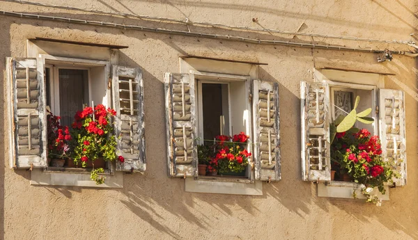 Muggia, fenêtres typiques de la ville . — Photo