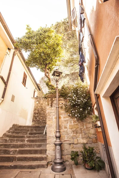 Muggia,details of the streets — Stock Photo, Image