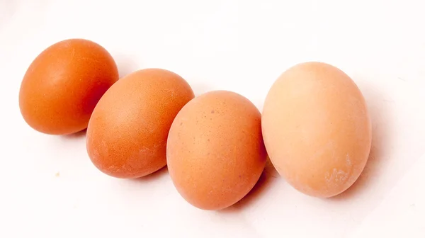 4 яйца на белом фоне . — стоковое фото