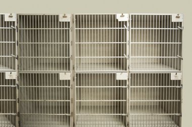 köpek kafes içinde
