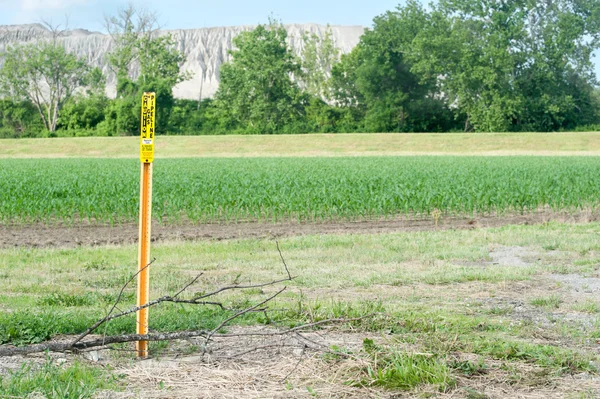 Gas Pipeline maïsveld — Stockfoto