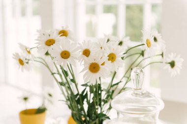 Bir sürü limon ve papatya ile güzel servis edilen bahar beyaz masası..