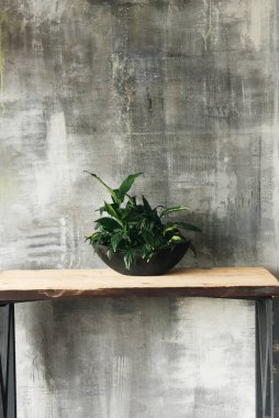 Gri beton bir duvara karşı tavan arası tarzı masa ve lambalar.