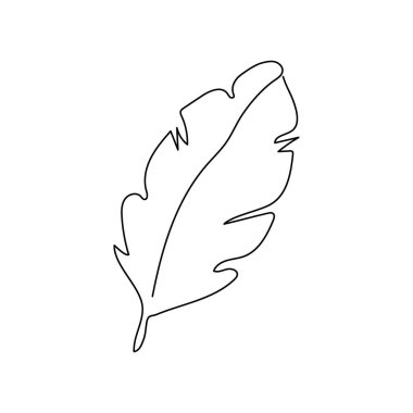 Muz palmiyesi yaprakları sürekli çizgi çiziyor. Yaprak, bitki, bitki, tropikal yaprak, orman botanik sanatı..