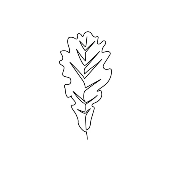 Hoja de roble dibujo de línea continua. Una línea de arte de hojas de árboles, hierbas, plantas. — Vector de stock