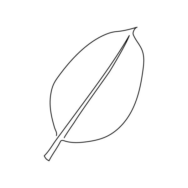 Ficus Blatt kontinuierliche Linienzeichnung. Eine Linie Kunst von Palmblättern, Kräutern, Pflanzen. — Stockvektor