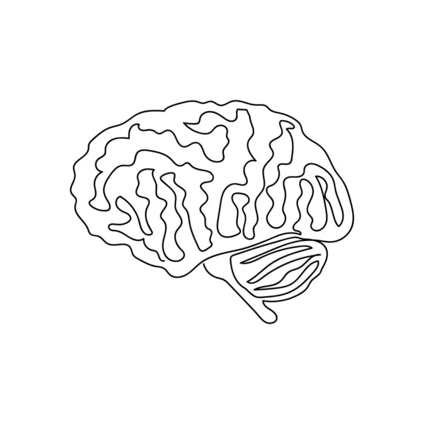 Half a brain one line art. Continuous line drawing of human, internal, organ, head, gray matter, cerebellum, brainstem. — Stock Vector