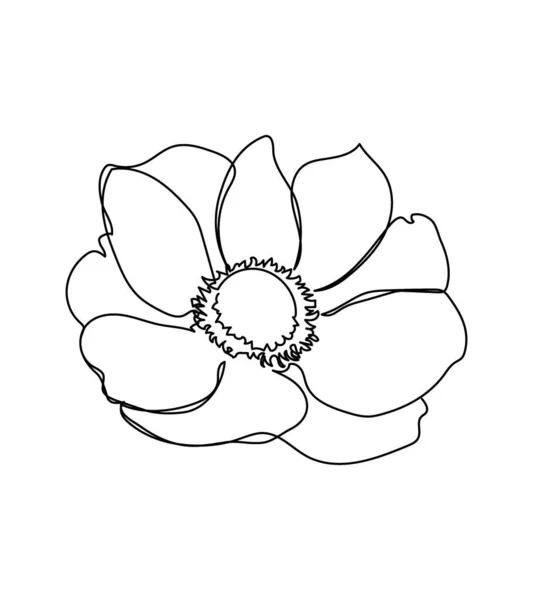 Anemone flower one line art. Continuous line drawing of plants, herb, flower, poppy, blossom, nature, flora, wildflowers. — Stock Vector