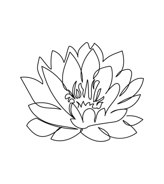 Seerosenblüten eine Zeile Kunst. Kontinuierliche Linienzeichnung von Pflanzen, Kraut, Blume, Blüte, Natur, Flora, Lotus. — Stockvektor