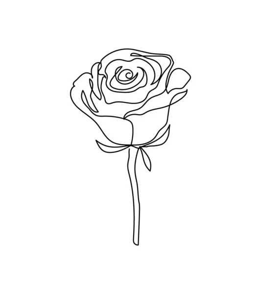 Rose flower one line art. Kontinuierliche Linienzeichnung von Pflanzen, Kraut, Blume, Blüte, Natur, Flora, Gartenblumen. — Stockvektor