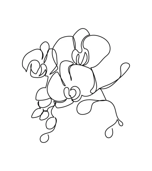 Orchid flower one line art. Continuous line drawing of plants, herb, flower, blossom, nature, flora, tropical flowers, phalaenopsis. — Stock Vector