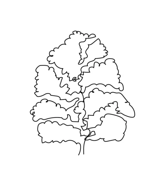 Linden, haya, olmo, una línea de arte. Dibujo continuo de plantas, hierbas, árboles, madera, naturaleza, álamo, arce, fresno, castaño, roble, olmo. — Vector de stock