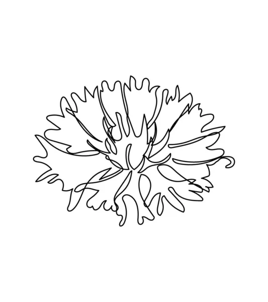 Fiore di fiordaliso, fiore una linea art. Disegno continuo di piante, erbe, fiori, fiori, natura, flora, fiori selvatici. — Vettoriale Stock