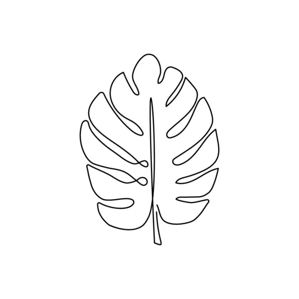 Desenho de linha contínua de folha Monstera. Uma linha de arte de folhas, ervas, palma, plantas. — Vetor de Stock