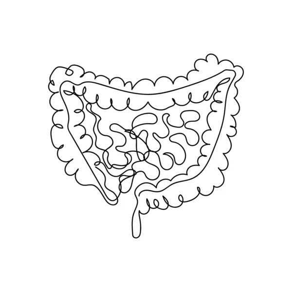 Intestinos humanos una línea de arte. Dibujo continuo de la línea humana, interna, órganos, intestinos, intestino delgado, intestino grueso, tracto gastrointestinal, vísceras. — Archivo Imágenes Vectoriales