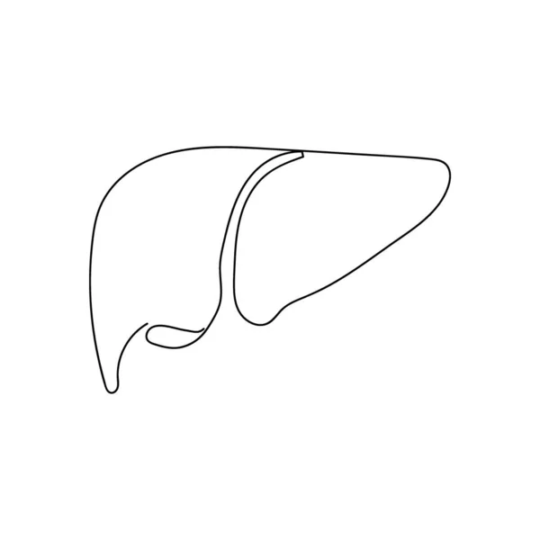 İnsan karaciğeri bir çizgi sanat. Sürekli insan, iç organ, gastrointestinal bölge çizimleri..