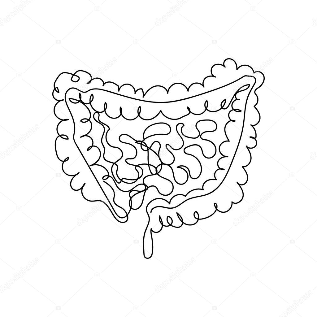 Human intestines one line art. Continuous line drawing of human, internal, organs, intestines, small intestine, large intestine, gastrointestinal tract, viscera.