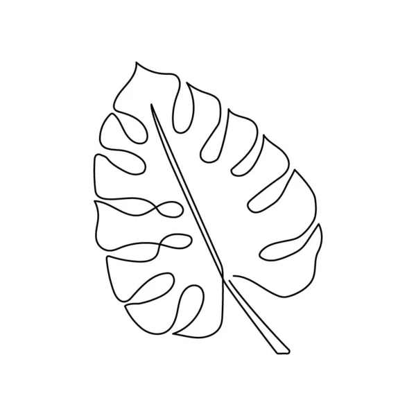 Desenho de linha contínua de folha Monstera. Uma linha de arte de folhas tropicais, erva, palma, plantas. — Vetor de Stock
