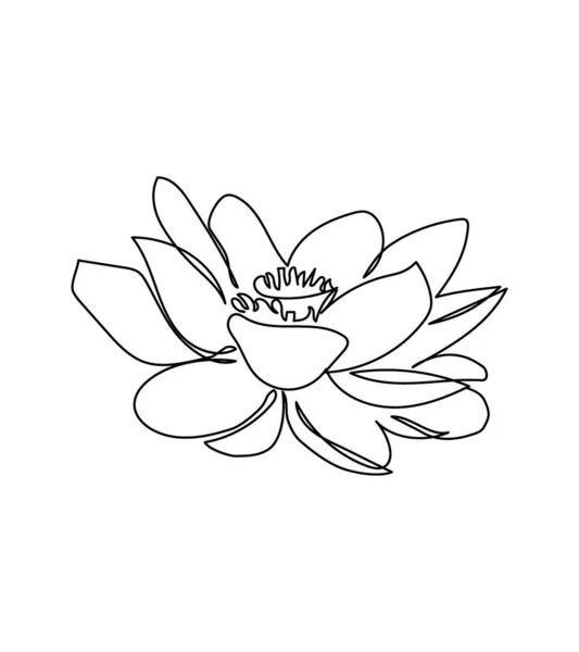 Lotusblüten eine Linie Kunst. Kontinuierliche Linienzeichnung von Pflanzen, Kraut, Blume, Blüte, Natur, Flora, Seerose. — Stockvektor