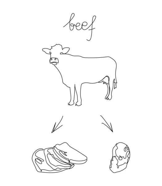Boeuf mis en ligne continue dessin. Un art linéaire de la vache et du veau, bœuf marbré, steaks. — Image vectorielle