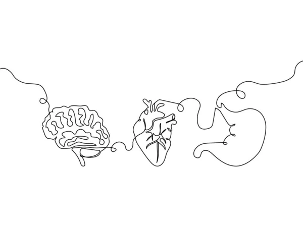 Menselijke inwendige organen een lijn set art. Continu tekenen van hart, bloed, aorta, bloedvaten, myocardium, atrium, hersenen, cerebellum, maag. — Stockvector