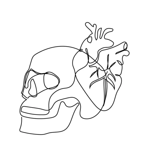 Crânio humano e coração uma linha definir arte. Desenho de linha contínua de órgãos internos. — Vetor de Stock