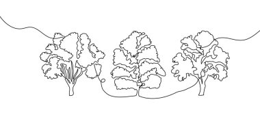 Ağaçların tek çizgisi sanat eseridir. Bitki, bitki, ağaç, ahşap, doğa, flora, kavak, akçaağaç, kül ağacı, ıhlamur çizimleri devam ediyor..