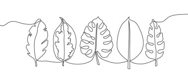 Egzotik yapraklar sürekli çizgi çizim seti. Bir sıra muz palmiye yaprağı, bitkiler, bitki, tropikal yapraklar, orman botanik.