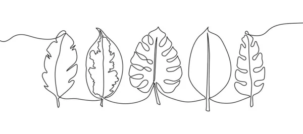 Hojas exóticas conjunto de dibujo de línea continua. Arte de una línea de hoja de palma de plátano, plantas, hierbas, hojas tropicales, selva botánica. — Vector de stock