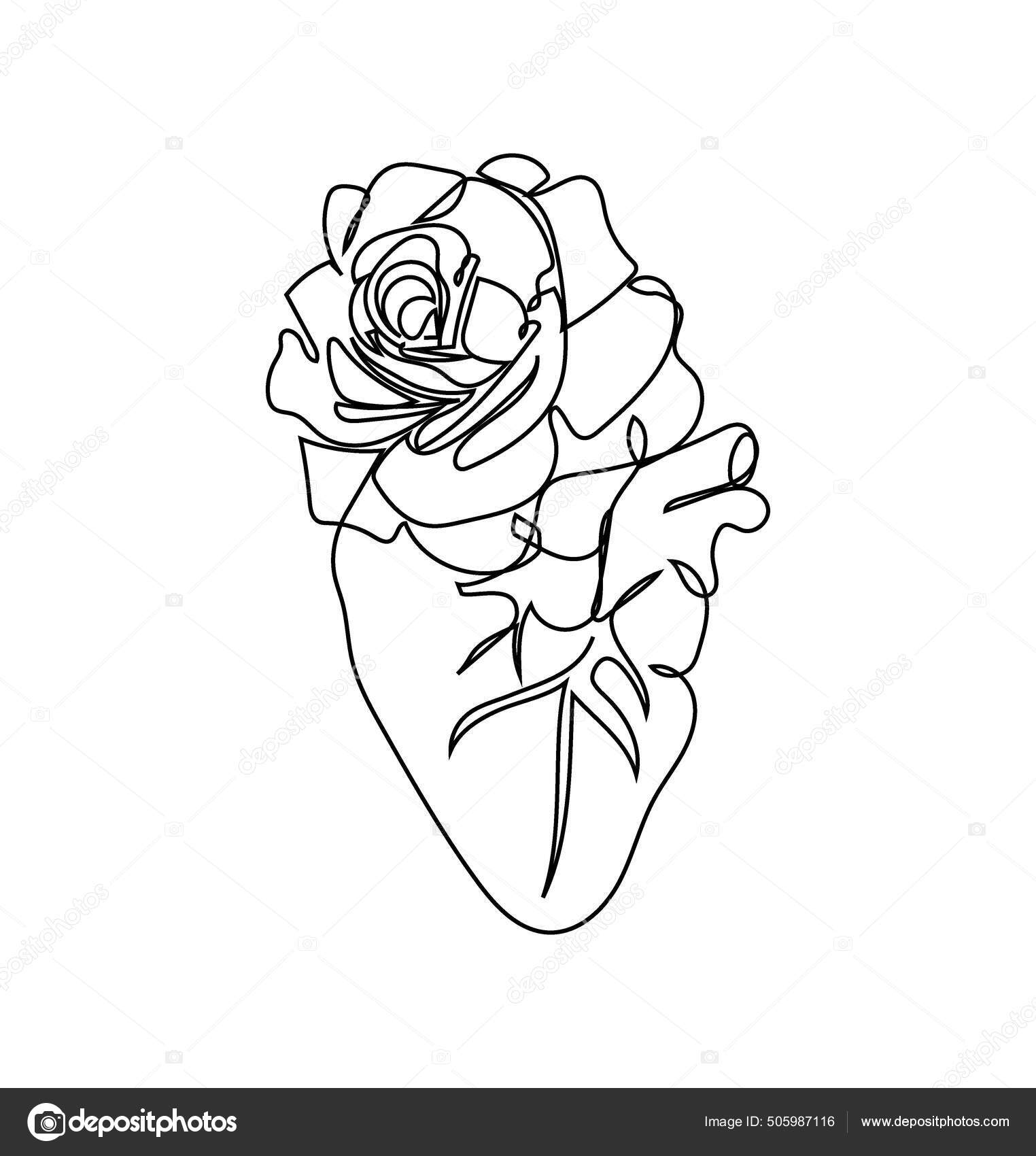 Human heart with a tea rose one line set art. Continuous line drawing of  internal organ and flowers. Stock Vector by ©Sahs 505987116, image size:1524x1700