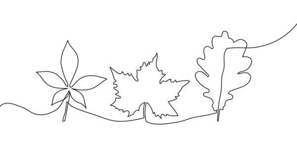 Folhas caídas linha contínua desenho conjunto. Uma arte de linha de folhas de árvore, erva, fábricas, castanha, bordo, carvalho. — Vetor de Stock