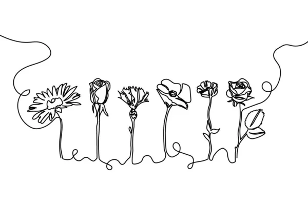 Květiny jedna řada nastavit umění. Nepřetržitá kresba rostlin, květin, květů, přírody, růží, heřmánku, chrpy, máku, sasanky. — Stockový vektor