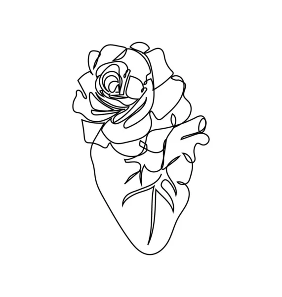 Human heart with a tea rose one line set art. Continuous line drawing of internal organ and flowers. — Stock Vector